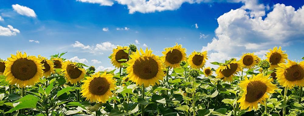 風除室（玄関フード）を付けるなら今がおすすめです♪ 札幌トーヨー住器のブログ 写真1