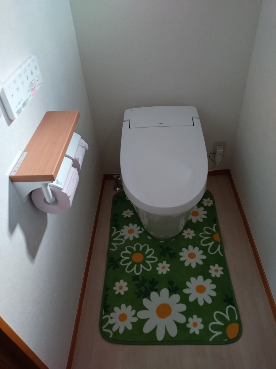 九重トーヨー住器の和式から洋式トイレへの施工後の写真1