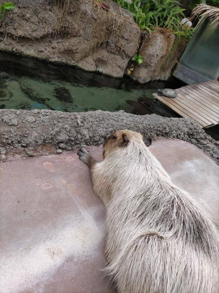 なかがわ水遊園 カワサキトーヨー住器 那須那珂川のブログ 写真1