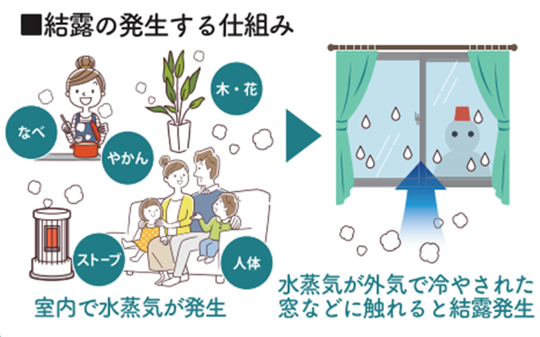 すまいの健康・快適だより　2024年1月号 MGI佐野のブログ 写真3