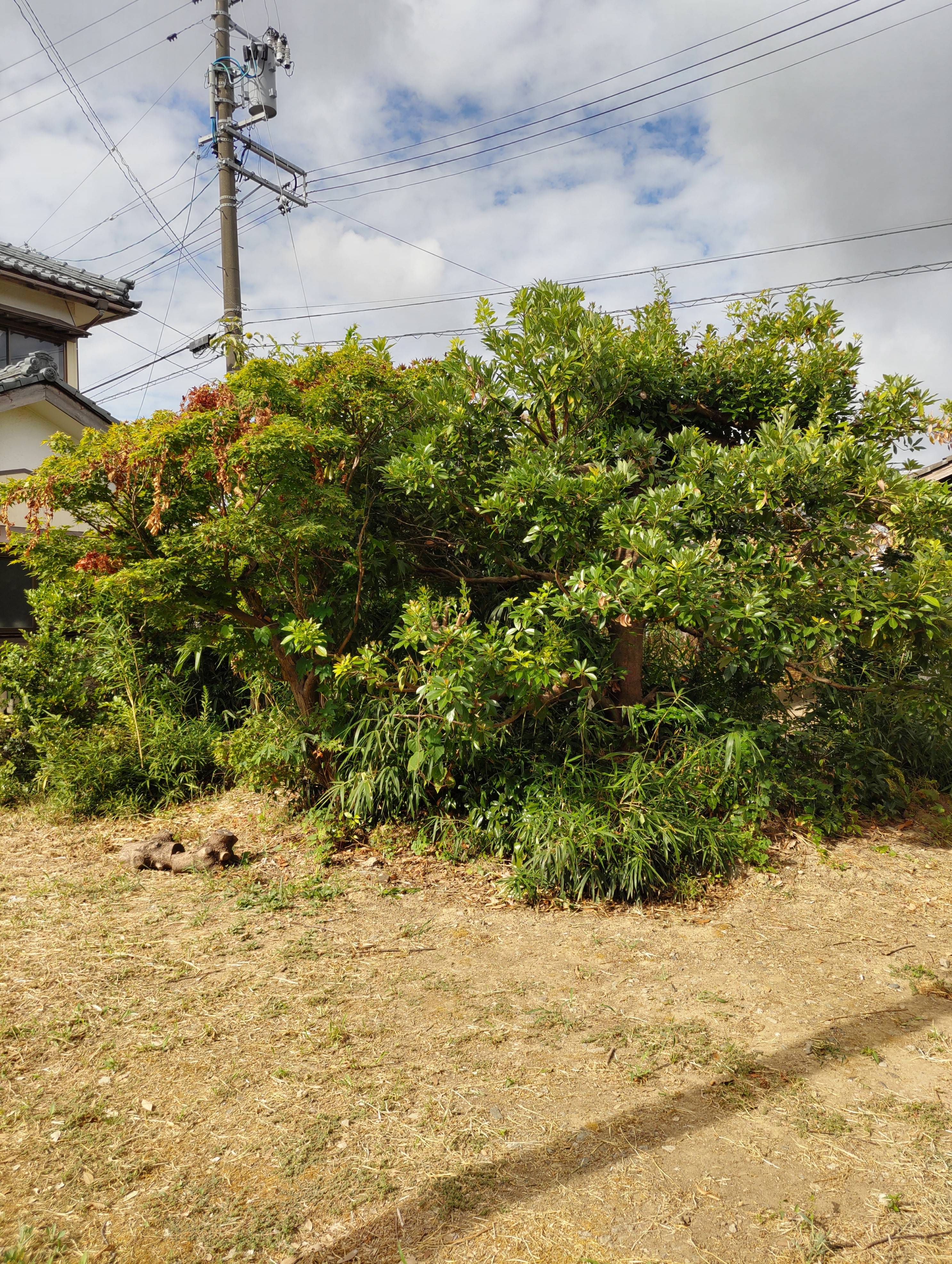 こんな工事もやってます！！ 柳田外装のブログ 写真1