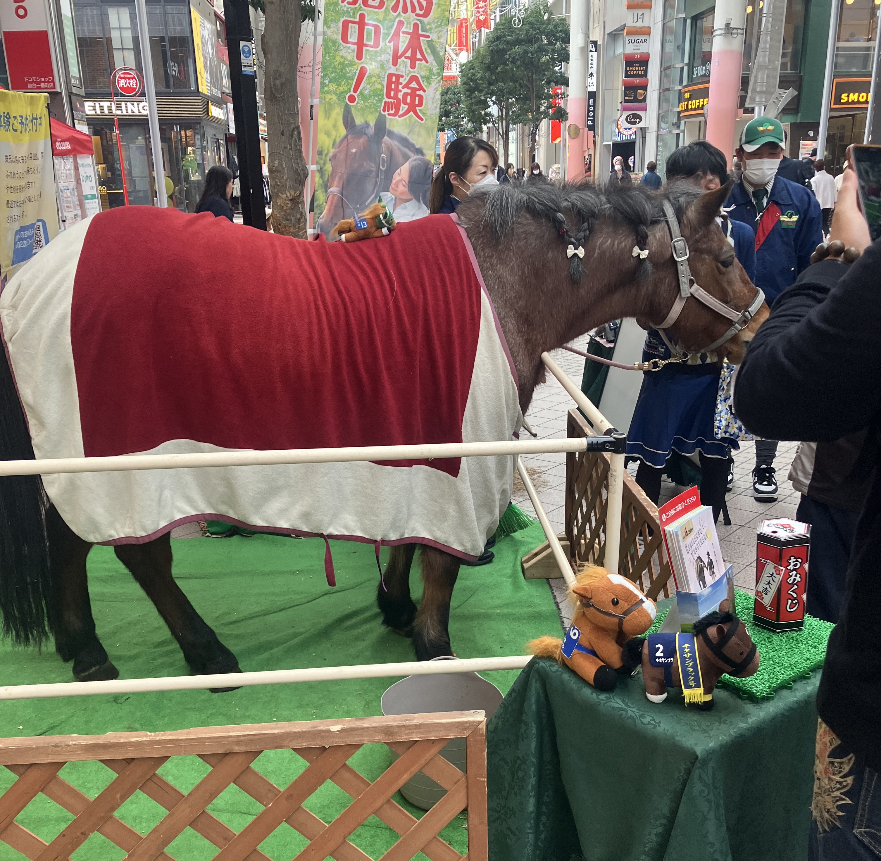 仙台 一番町に馬が・・🐴・・　 AKBT 土崎港店のブログ 写真2