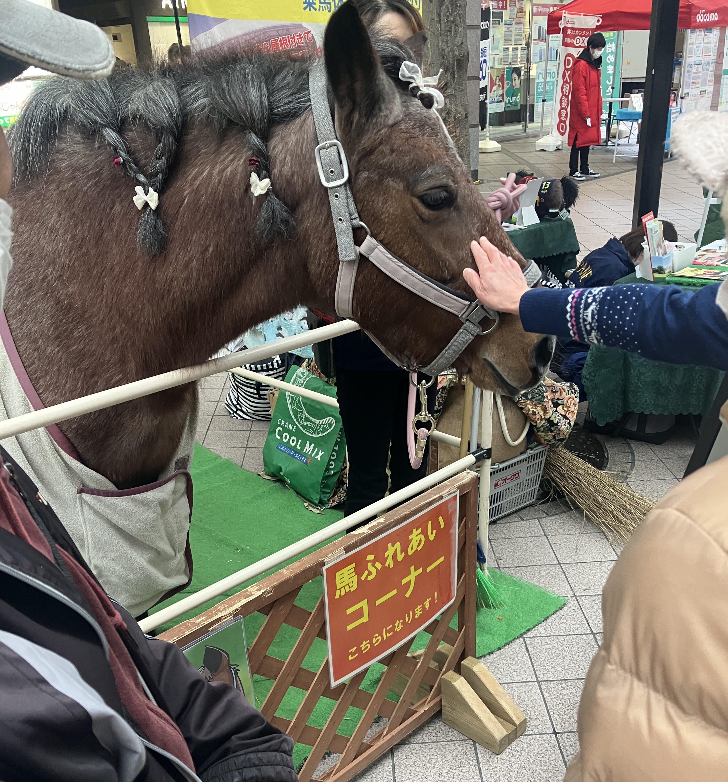 仙台 一番町に馬が・・🐴・・　 AKBT 土崎港店のブログ 写真3