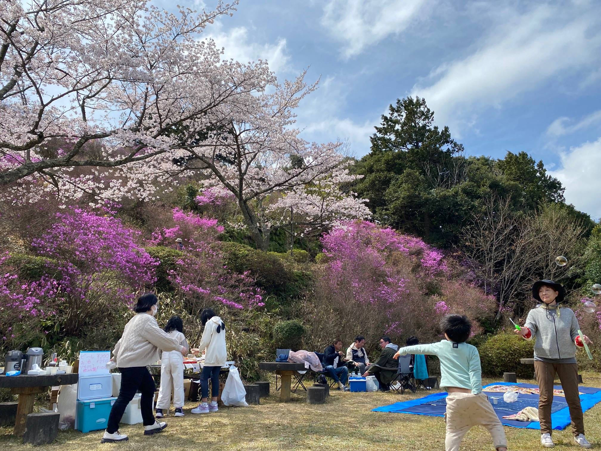 🌺ツツジ🌸 大西アルミ建材 京丹後店のブログ 写真3