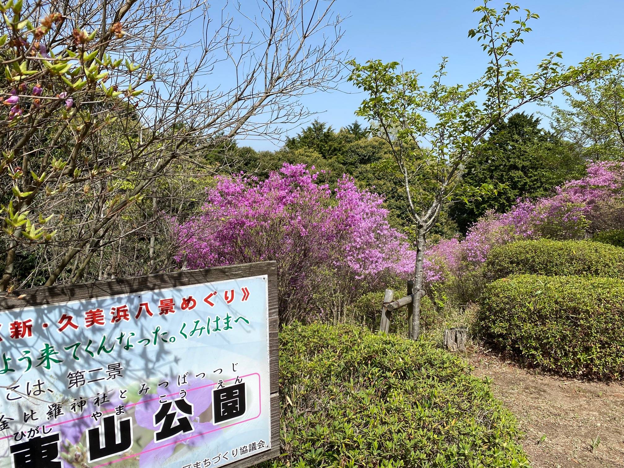 🌺ツツジ🌸 大西アルミ建材 京丹後店のブログ 写真2