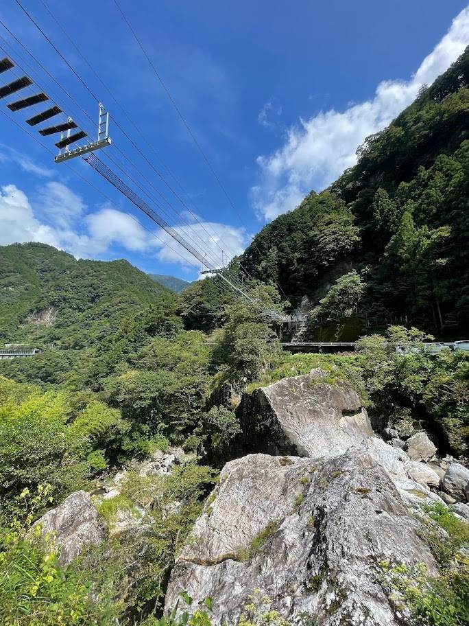 絶叫吊り橋＆爽快ジップライン《ニヨドフライハイ》を体験してきました。 土佐トーヨー住器のブログ 写真3