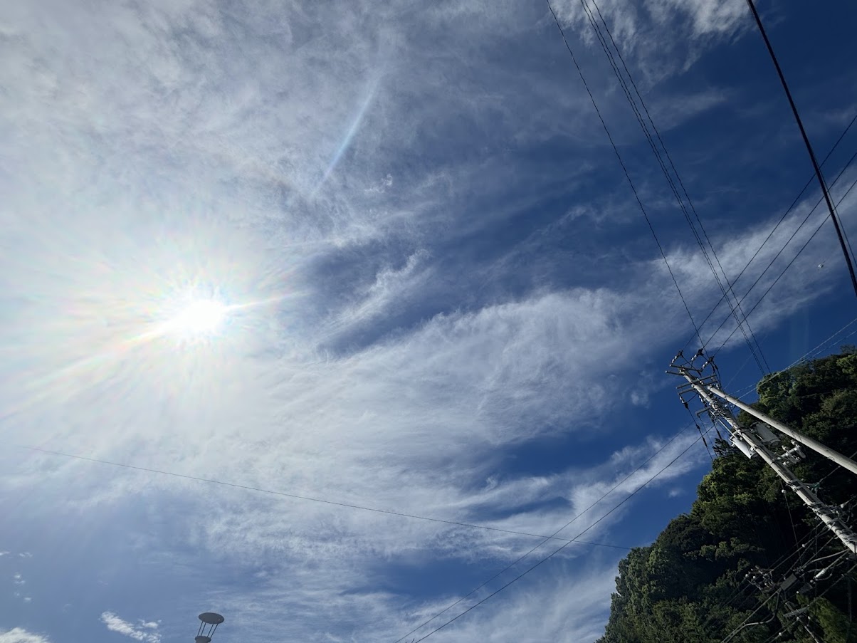 台風一過　台風１０号 土佐トーヨー住器のブログ 写真1