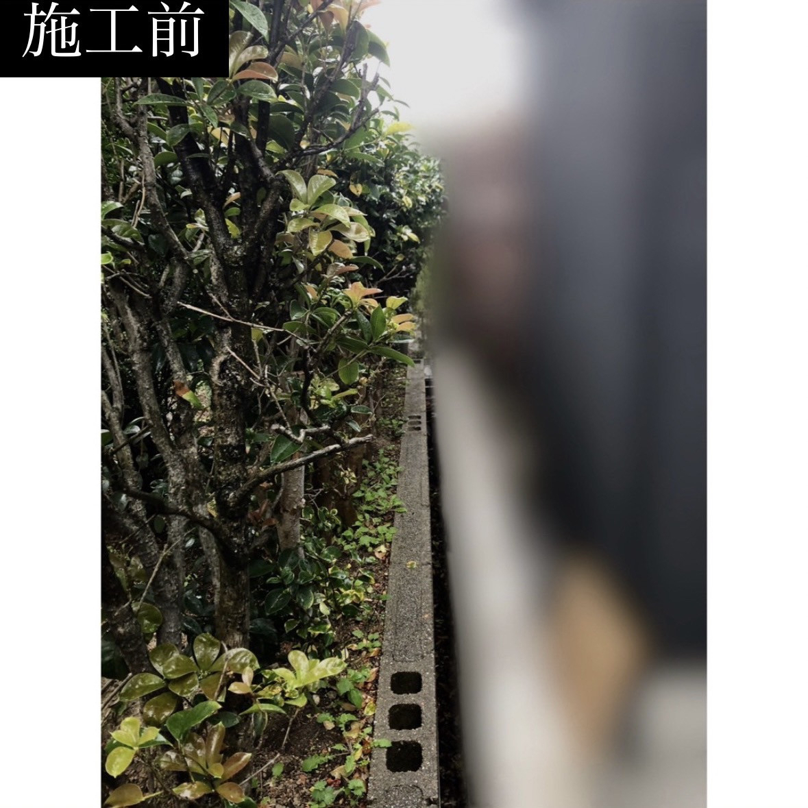 三輪ガラスの【名古屋市】隣地との目隠しの為フェンスABを取付けの施工前の写真1