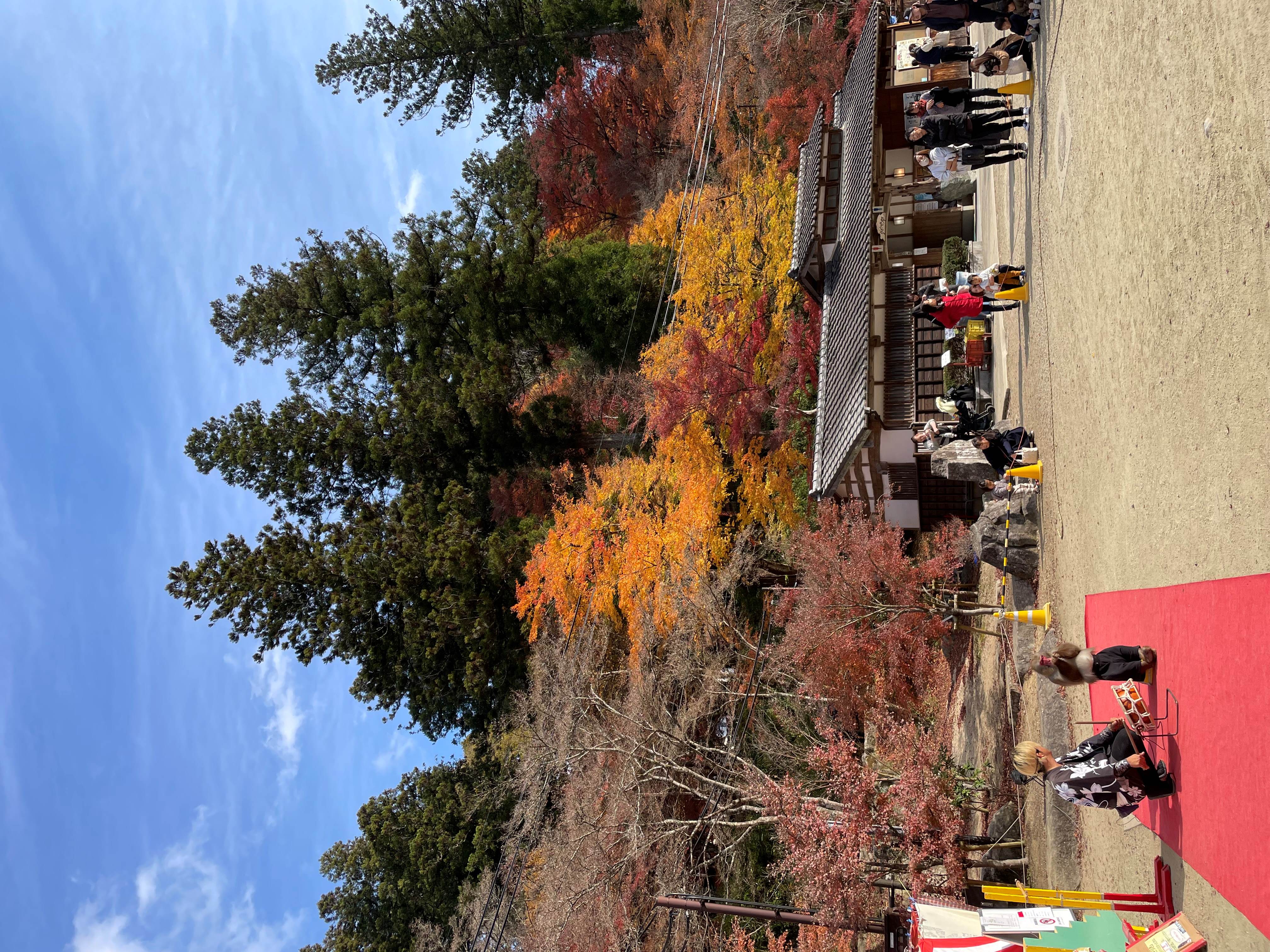 紅葉！香嵐渓 ウグイスヤトーヨー住器のブログ 写真1