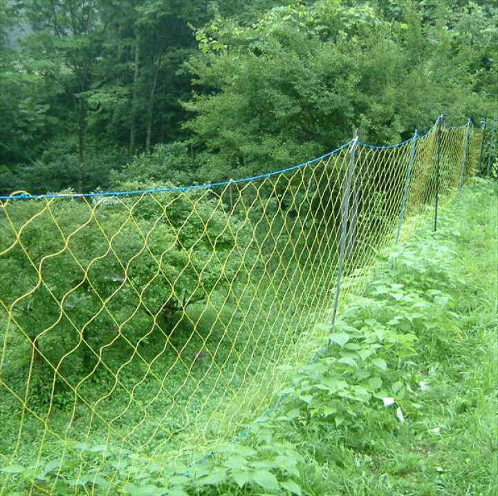 山本サッシ店 東紀州の最近、鹿が多くて困ってます💦🦌のお客さまの声の写真1