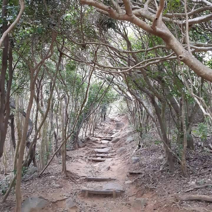 🌲トトロの森🌲 東福岡トーヨー住器のブログ 写真1