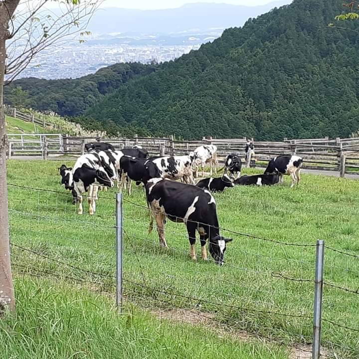 🍁行楽シーズン🍁 東福岡トーヨー住器のブログ 写真1