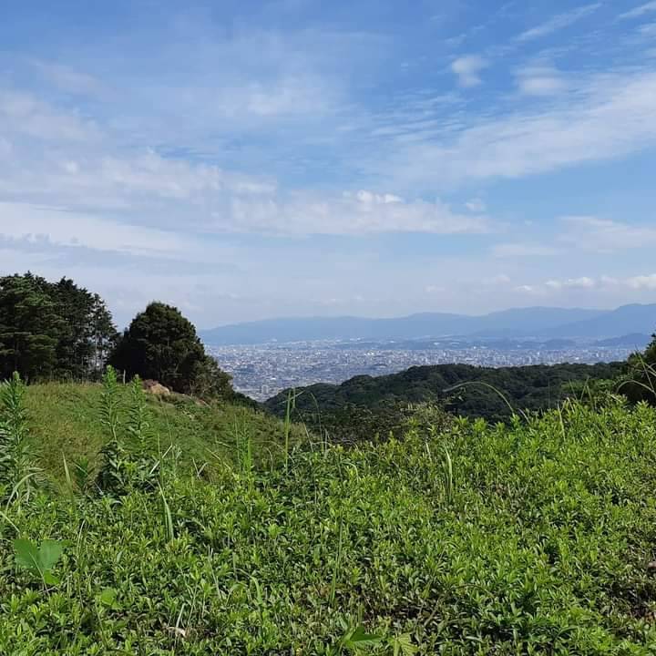 🍁行楽シーズン🍁 東福岡トーヨー住器のブログ 写真3