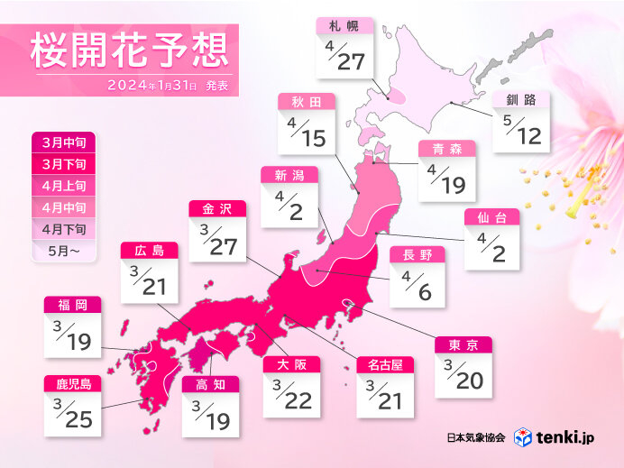 2024年　桜　開花　予想　花見 東福岡トーヨー住器のブログ 写真1