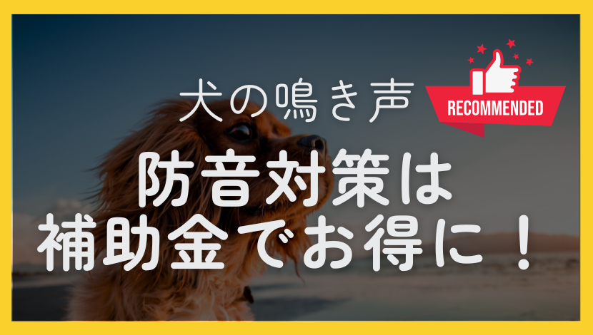犬の鳴き声の防音対策！騒音トラブルを防ぐ効果的な方法とは？ ダルパのブログ 写真7