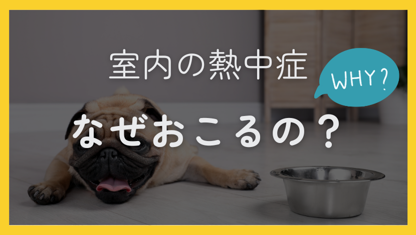 熱中症は室内が４割！熱中症対策に窓の断熱リフォームがおすすめの理由とは？ ダルパのブログ 写真3