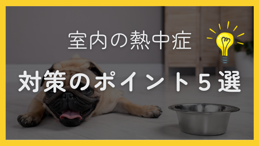 熱中症は室内が４割！熱中症対策に窓の断熱リフォームがおすすめの理由とは？ ダルパのブログ 写真4