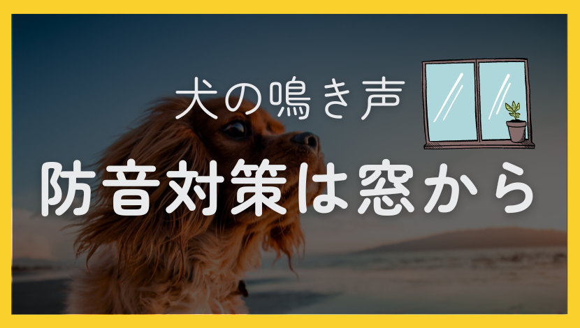 犬の鳴き声の防音対策！騒音トラブルを防ぐ効果的な方法とは？ ダルパのブログ 写真4