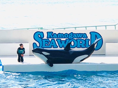 ６月１５日は鴨川シーワールドへ🐬 鶴谷トーヨーテックのブログ 写真1