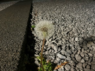 なんか神秘的～☆ 鶴谷トーヨーテックのブログ 写真1