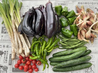 🍅🍆瑞々しいお野菜🥒🍅 鶴谷トーヨーテックのブログ 写真1