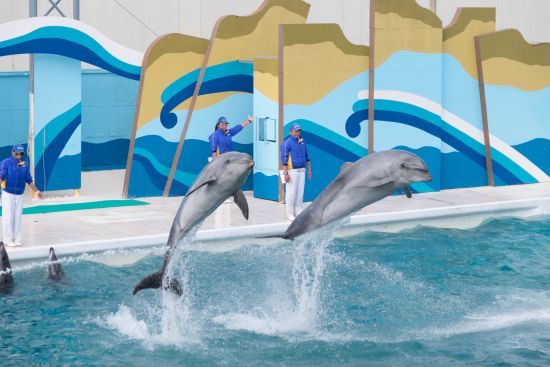 ６月１５日は鴨川シーワールドへ🐬 鶴谷トーヨーテックのブログ 写真4