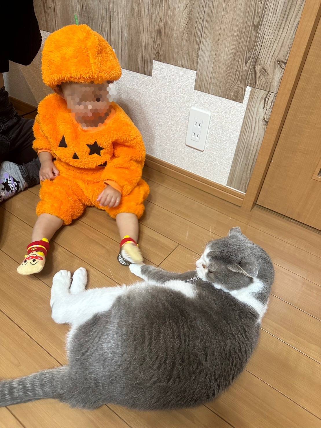 ハロウィン エコプロのブログ 写真1