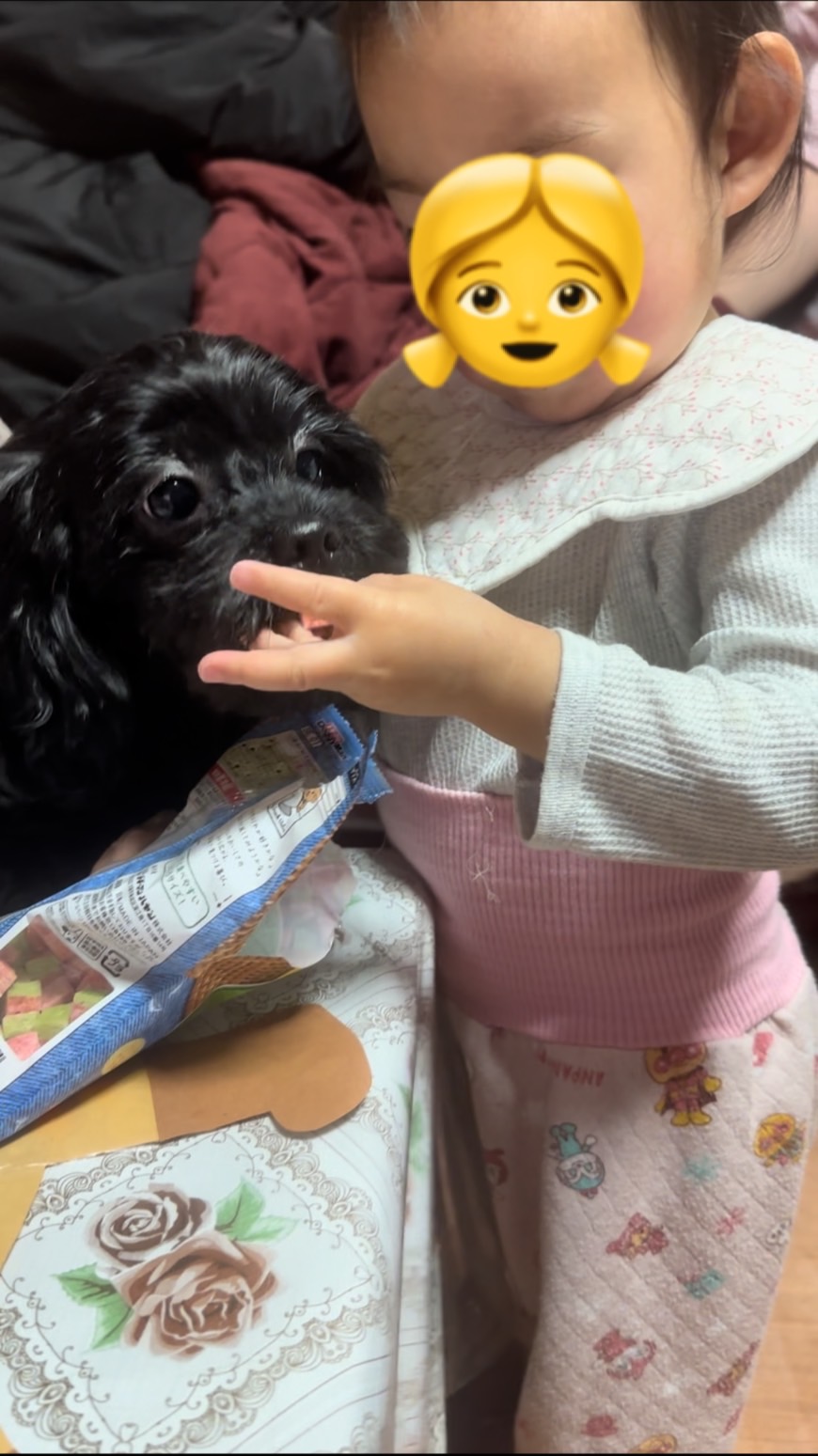 👶と🐶 エコプロのブログ 写真1