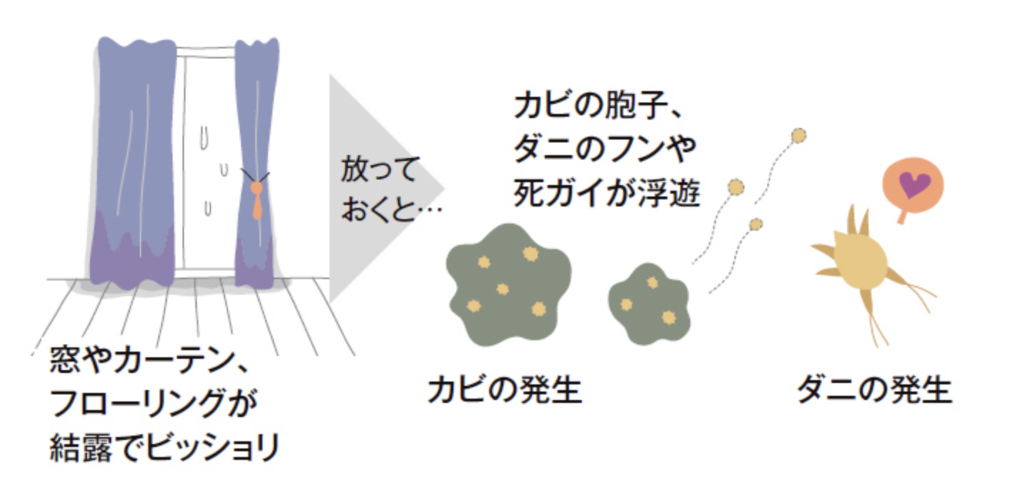カビが発生する前に予防！室内のカビ・ダニ対策 杉山ガラスのブログ 写真2