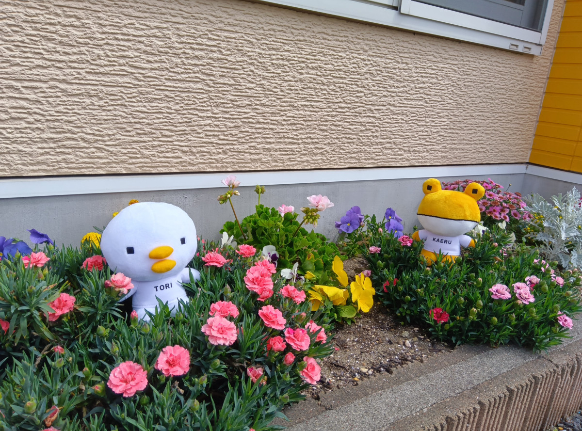 春爛漫🌷🌹🌼 MQ仙台店のブログ 写真1