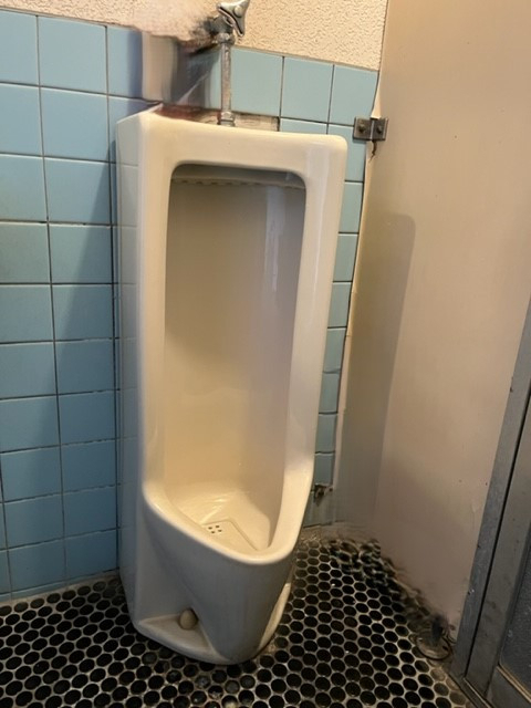 フジトーヨーのトイレが新しいと気分もUPしますね。の施工前の写真2