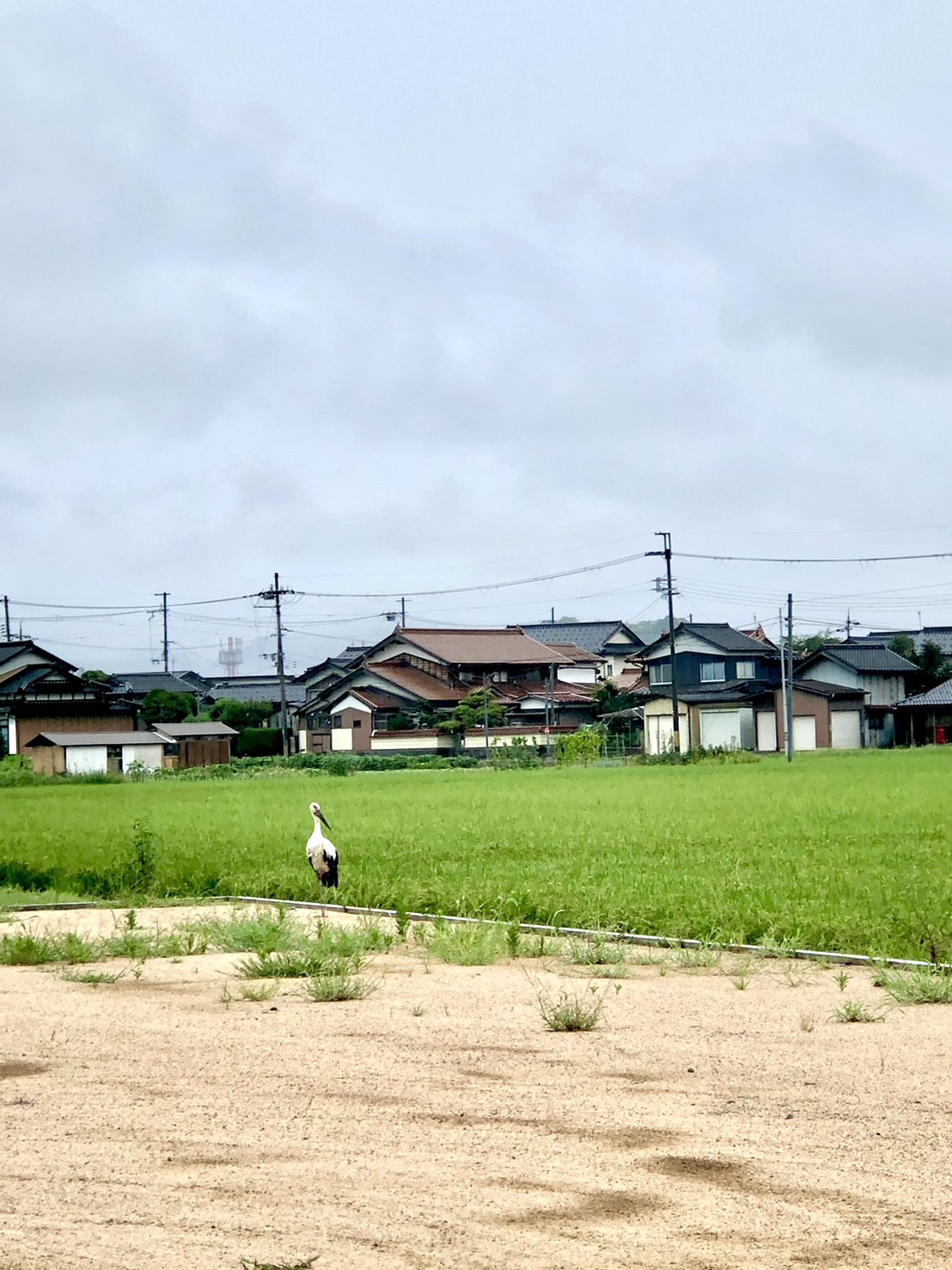 ☆網戸取り付け☆ オブハウスのブログ 写真2