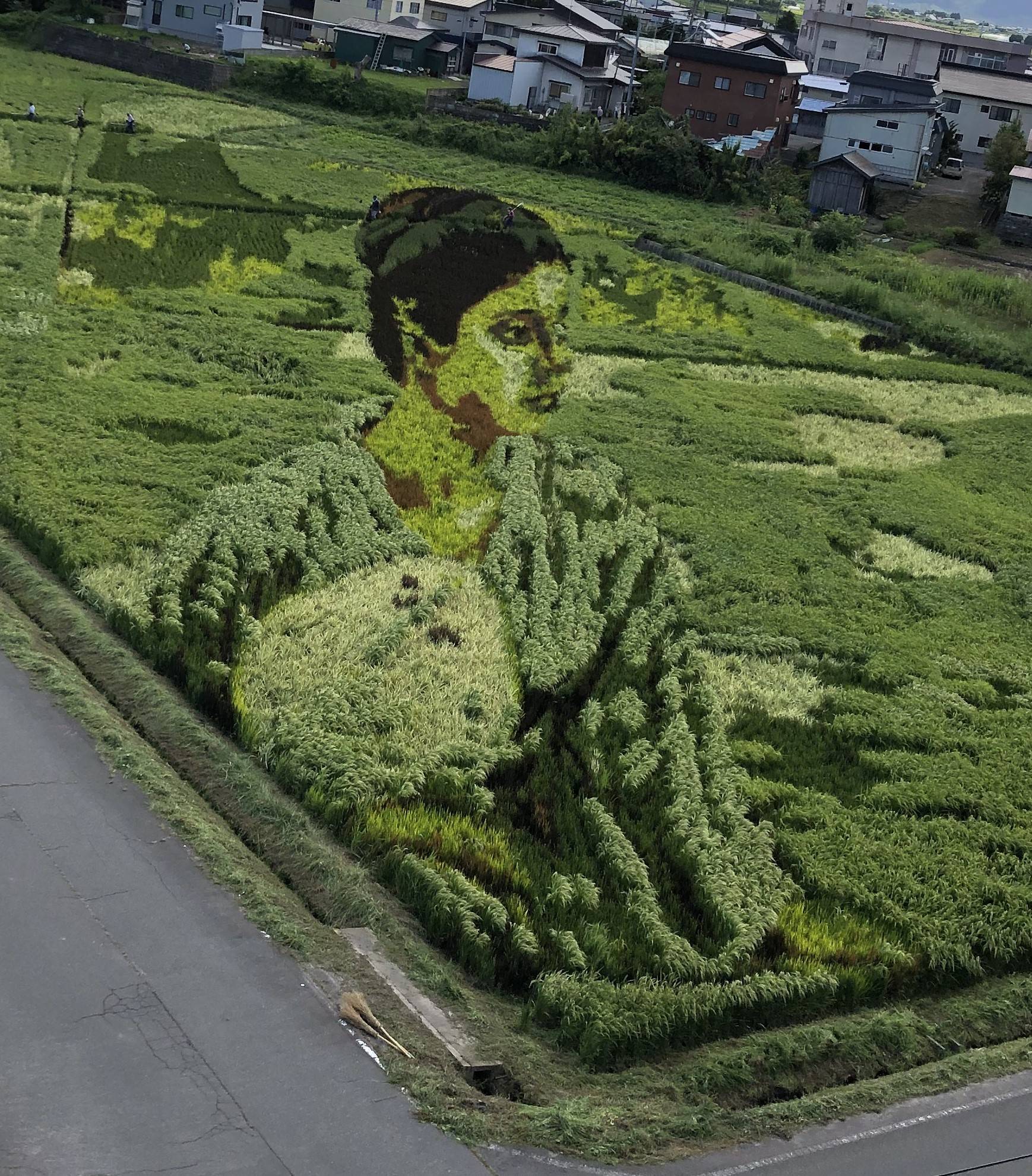 田舎館村🌾田んぼアート 鎌田トーヨー住器のブログ 写真4