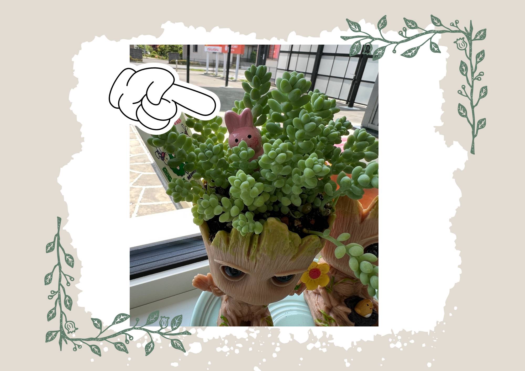 新たな植物(^^♪ サントーヨー住器のブログ 写真1