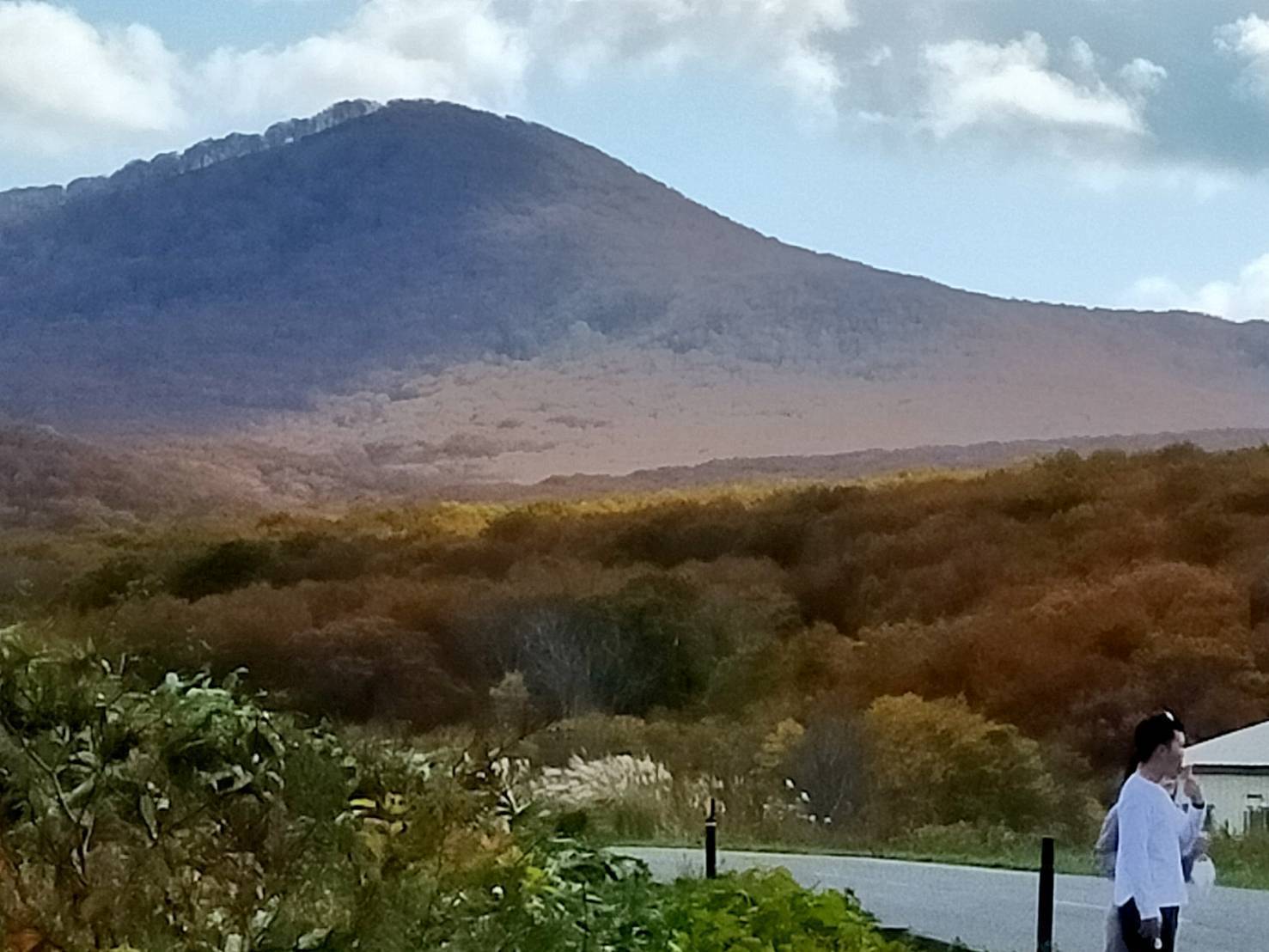 八甲田　城ヶ倉の紅葉🍁 サントーヨー住器のブログ 写真1