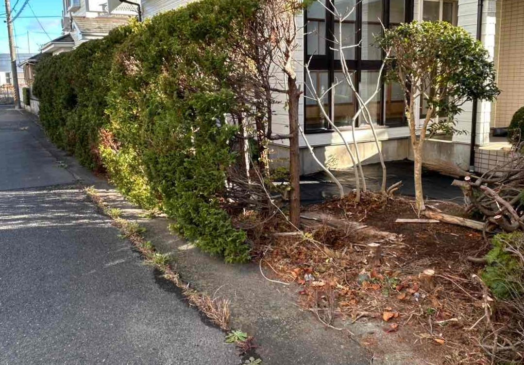 おさだガラスの植栽の手入れ　維持管理が大変なので…①の施工前の写真2