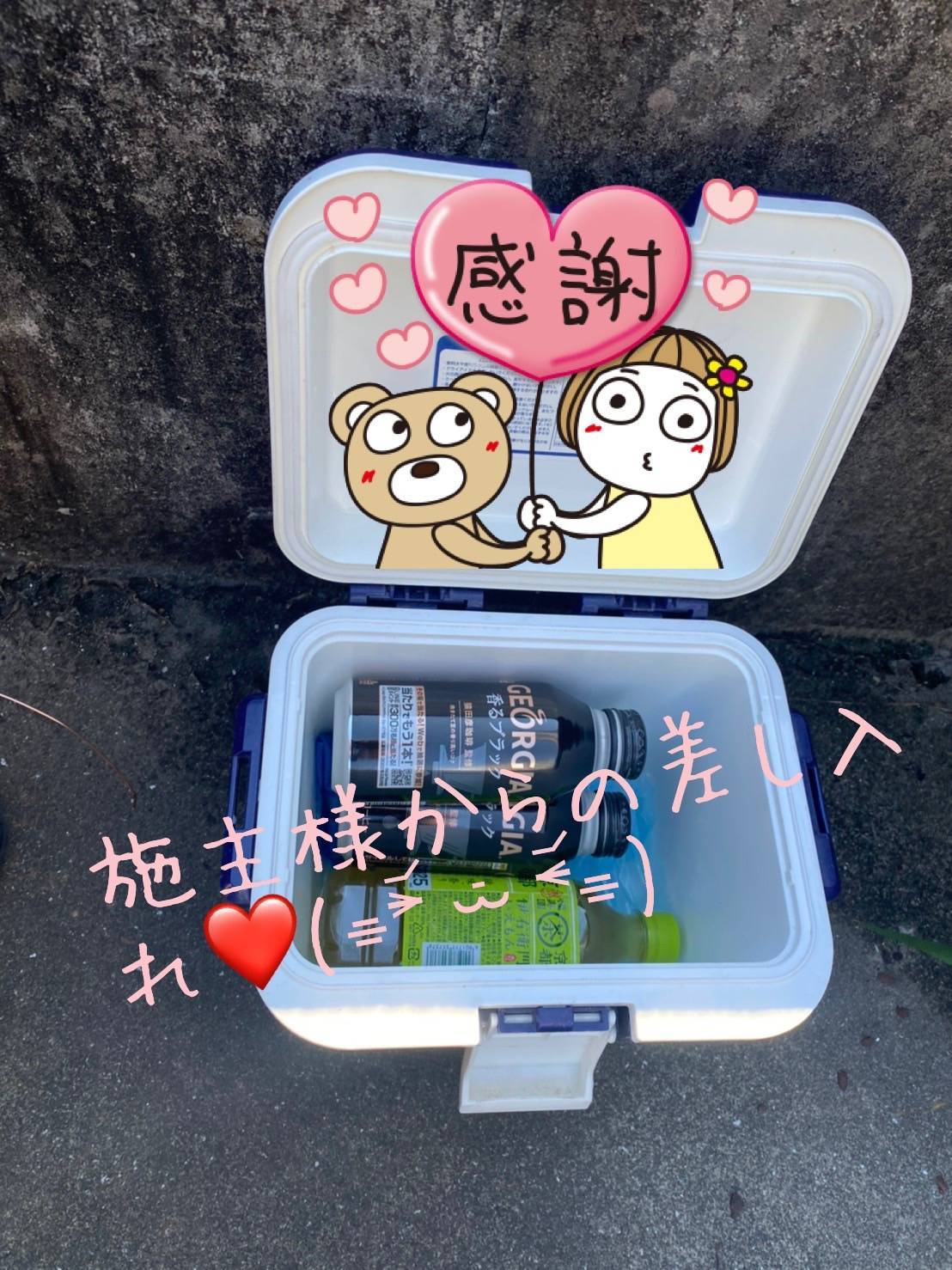 差し入れ(≧▽≦) 石田トーヨー住器のブログ 写真1