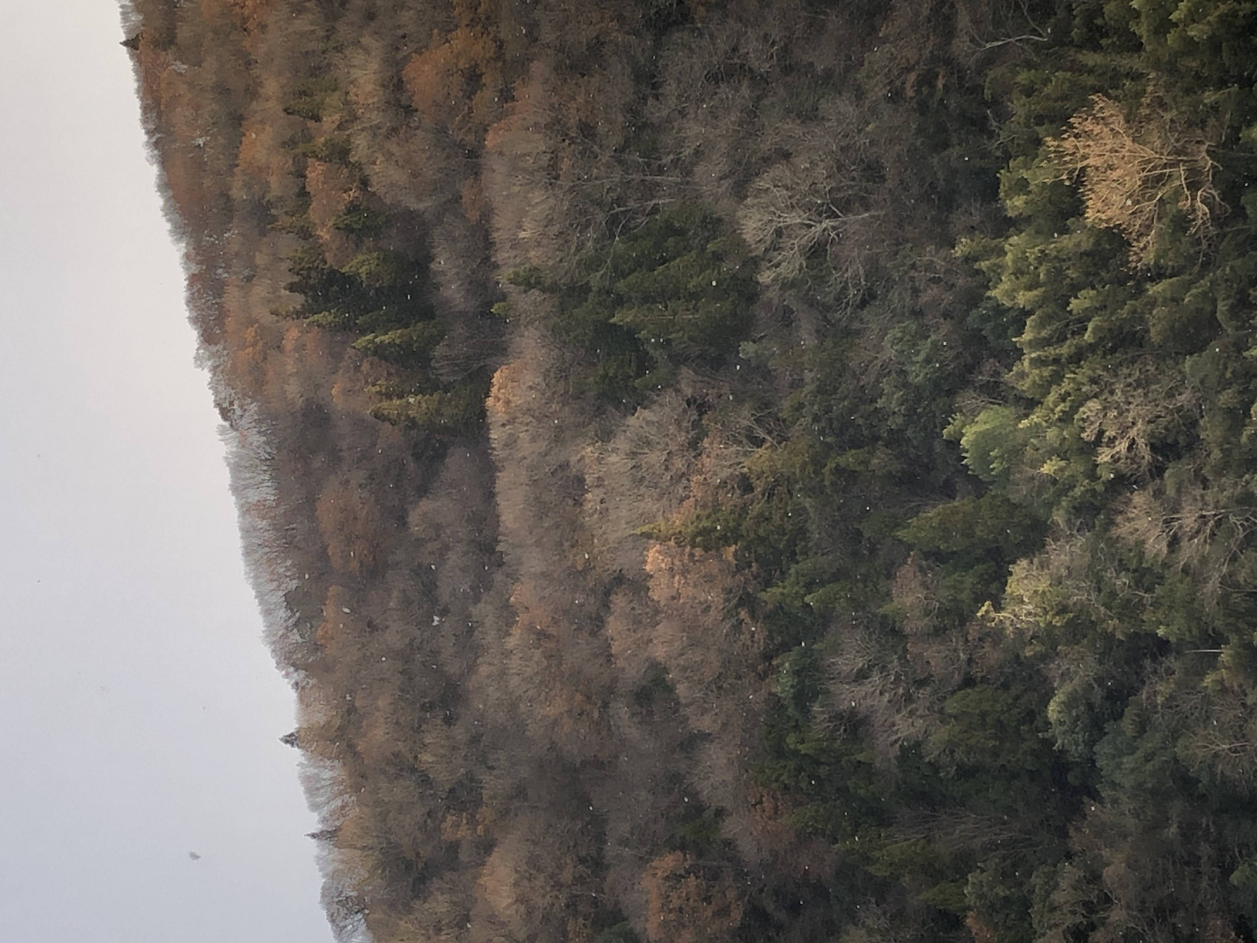 広島県にも本格的な寒さ到来‼🥶 FGネクストのブログ 写真1