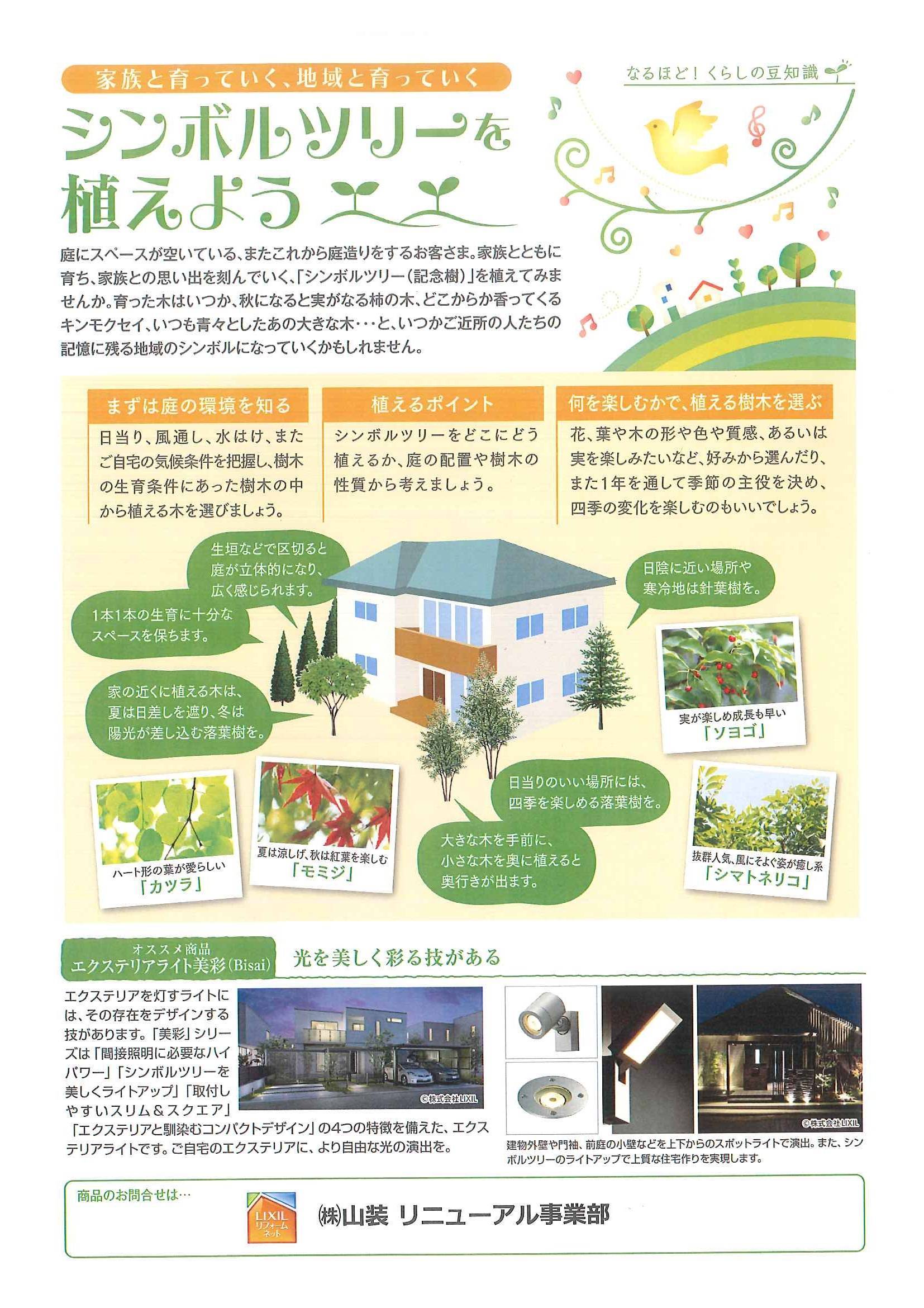 憧れのシンボルツリー🌲 | ブログ | 山装 リニューアル事業部｜横浜市