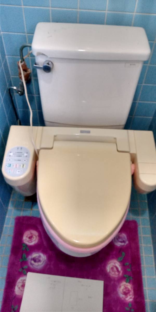 海南トーヨー住器のトイレ改修リフォーム！　の施工前の写真1